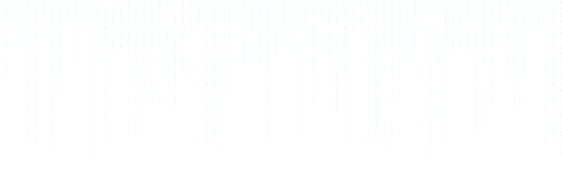 Senior {Full Stack}Web & developer